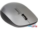 Мышь SmartBuy 309AG Silver/Black (SBM-309AG-SK) в Бресте