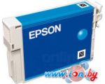 Картридж для принтера Epson EPT08024010