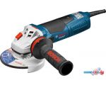 Угловая шлифмашина Bosch GWS 19-125 CIE Professional [060179P002]