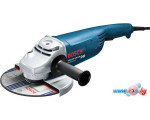 Угловая шлифмашина Bosch GWS 24-230 JH Professional (0601884203)