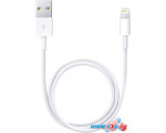 Кабель Apple Lightning to USB 0.5 м (белый) [ME291ZM/A] в интернет магазине