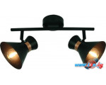 Точечный светильник Arte Lamp Baltimore A1406AP-2BK