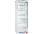 Торговый холодильник Бирюса 310E