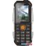 Мобильный телефон TeXet TM-D429 (черный) в Витебске фото 1