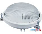 Лампа TDM Electric НПП 03-100-020.01 У3