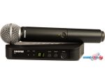 Микрофон Shure BLX24E/SM58 M17