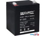 купить Аккумулятор для ИБП Security Force SF 12045 (12В/4.5 А·ч)