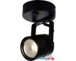 Точечный светильник Arte Lamp Lente A1310AP-1BK