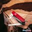 Туристический нож Victorinox SwissChamp [1.6795] в Бресте фото 5