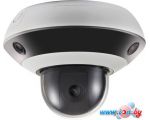 IP-камера Hikvision DS-2PT3326IZ-DE3