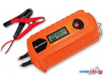 Зарядное устройство Daewoo DW500