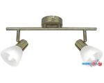 Точечный светильник Arte Lamp Parry A5062AP-2AB