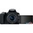Зеркальный фотоаппарат Canon EOS 250D Kit 18-55 IS STM (черный) в Витебске фото 2