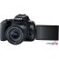 Зеркальный фотоаппарат Canon EOS 250D Kit 18-55 IS STM (черный) в Бресте фото 3