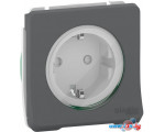 Розетка Schneider Electric Mureva Styl MUR36134