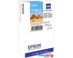 Картридж Epson C13T70124010