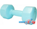 Гантели Atemi AD-02 2x3 кг