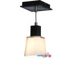 Лампа Lussole LSC-2506-01