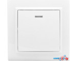 Выключатель EKF Basic Минск ERV10-121-10