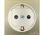 Накладка для розетки Simon 82041-64 (шампань со слоновой костью)