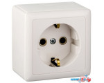 Розетка Schneider Electric ХИТ RA16-133I-B (белый)