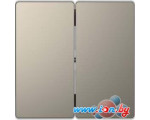 Клавиша для выключателя Schneider Electric Merten D-Life MTN3400-6050 (никель)