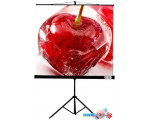 Проекционный экран ViewScreen Clamp 200x200 [TCL-1103]