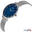 Наручные часы Skagen SKW2307 в Могилёве фото 1