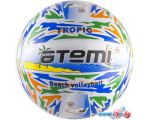 Мяч Atemi Tropic