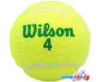 Мяч Wilson Starter Green WRT137400 (4 шт)