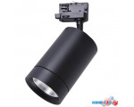 Трековый светильник Lightstar Canno 303574