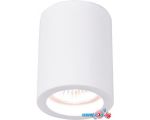 Точечный светильник Arte Lamp Tubo A9260PL-1WH