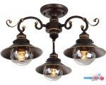 Люстра средней высоты Arte Lamp Graziozo A4577PL-3CK