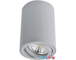 Точечный светильник Arte Lamp Sentry A1560PL-1GY