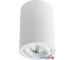 Точечный светильник Arte Lamp Sentry A1560PL-1WH