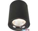 Точечный светильник Arte Lamp Facile A5118PL-1BK