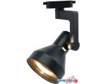 Точечный светильник Arte Lamp Nido A5108PL-1BK