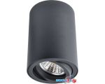 Точечный светильник Arte Lamp Sentry A1560PL-1BK