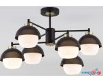 Люстра средней высоты Евросвет Nocciola 70106/6 (Black)