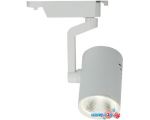 Трековый светильник Arte Lamp Traccia Medio A2321PL-1WH