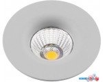 Точечный светильник Arte Lamp Uovo A1427PL-1GY