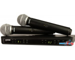 Микрофон Shure BLX288E/SM58 M17