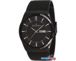 Наручные часы Skagen SKW6006