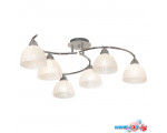 Подвесная люстра Lussole LOFT GRLSF-1603-06