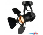 Спот Lussole Loft Expression LSP-9838