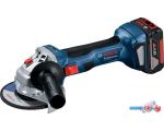 Угловая шлифмашина Bosch GWS 180-LI Professional 06019H90R0 (с 2-мя АКБ, кейс)