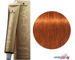 Крем-краска для волос Schwarzkopf Professional Igora Royal Absolutes 7-70 60мл