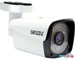 IP-камера Ginzzu HIB-2301A в рассрочку