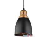 Лампа Arte Lamp Eurica A4248SP-1BK