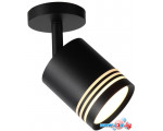Спот ST Luce Cerione ST101.412.05